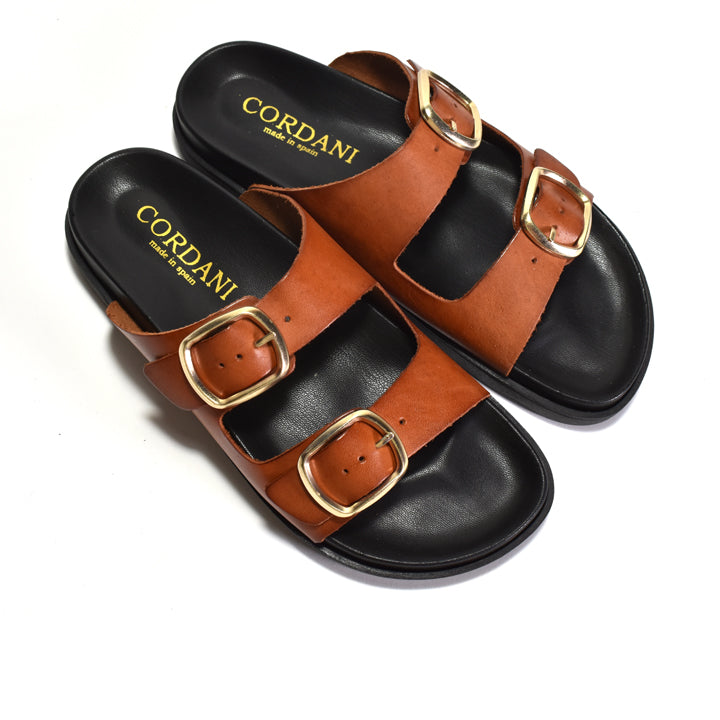 Brown sandals with gold buckles and black soles on a white background, featuring the Cordani brand.