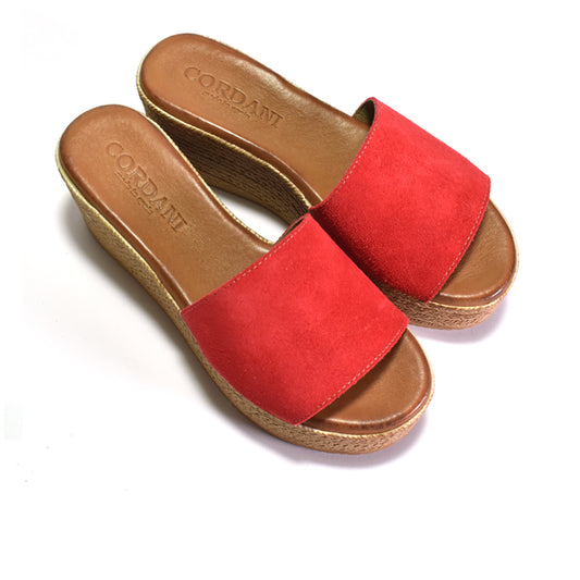 Red sandals with brown soles on a white background