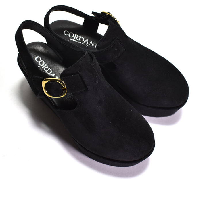Black clogs with gold accents on a white background, featuring the Cordani brand.