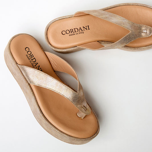 pair of metallic platform sandals with a  thong strap