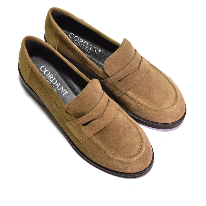 A pair of Cordani suede penny loafers in a warm camel brown color, displayed on a clean white background.